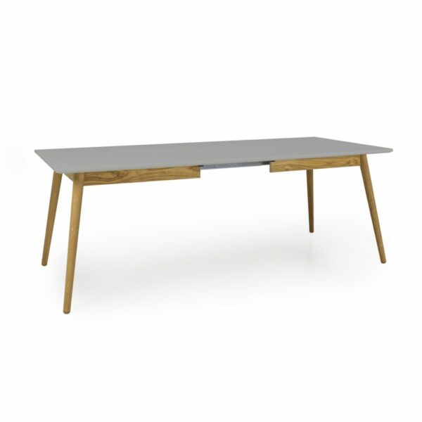 Esstische Tenzo Esstisch DOT Tisch ausziehbar 160x90cm grau/Eiche im onlineshop kaufen