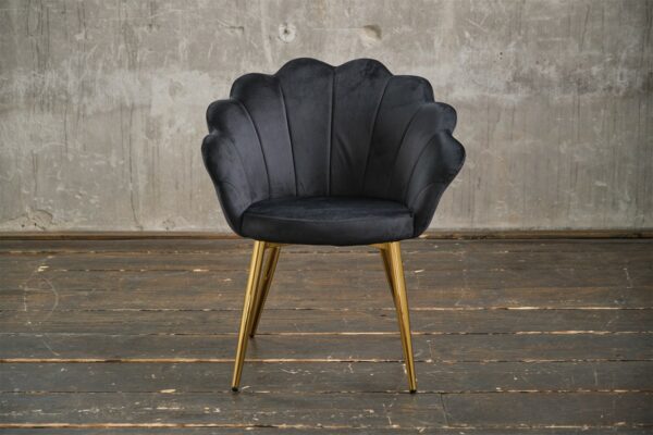 Designstühle KAWOLA Stuhl CARLA Esszimmerstuhl Velvet schwarz Fuß gold im onlineshop kaufen